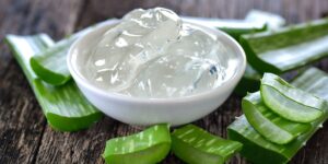 Babosa: Como o gel de aloe vera melhora sua saúde