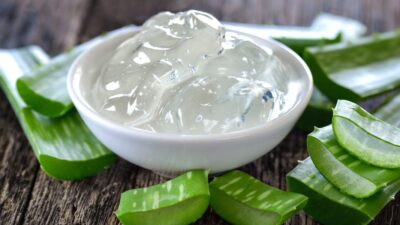 Babosa: Como o gel de aloe vera melhora sua saúde