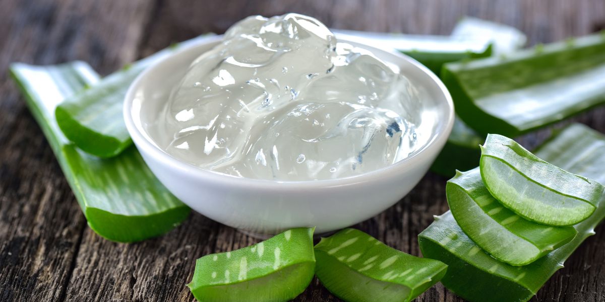 Babosa: Como o gel de aloe vera melhora sua saúde