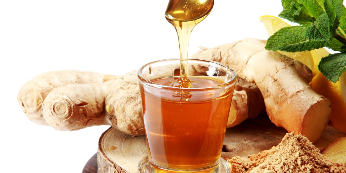 Benefícios do gengibre: Como essa raiz melhora sua saúde