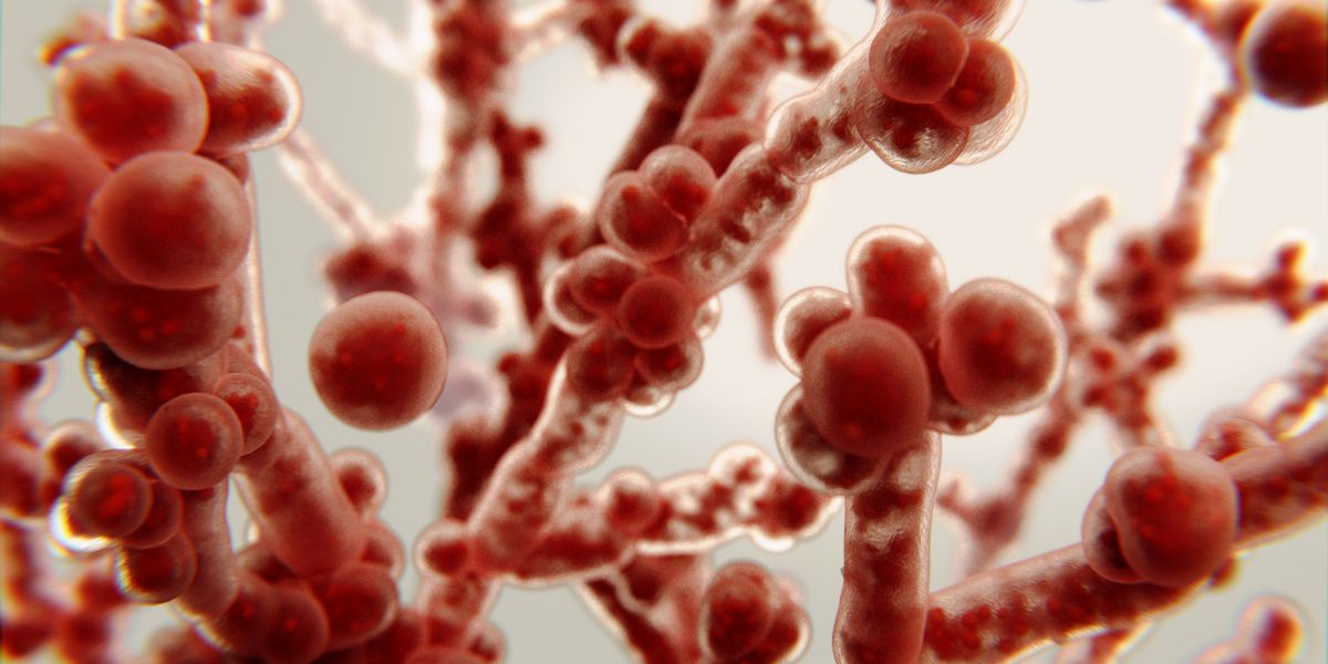 Candidíase: Sintomas, tratamento e prevenção