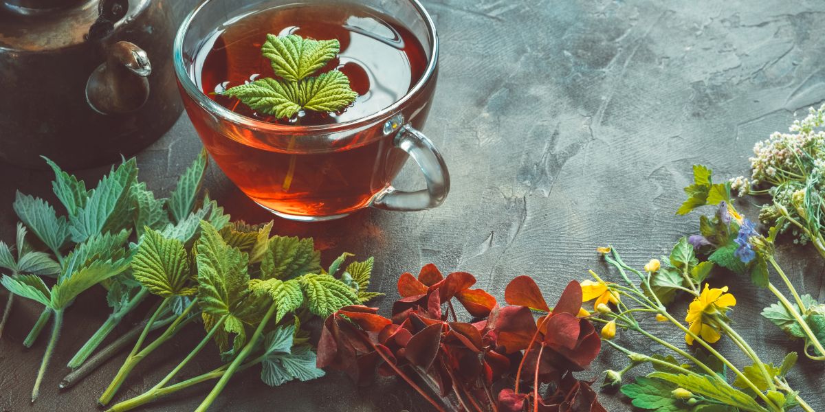 Chás para ansiedade: Ervas calmantes que ajudam a reduzir o estresse