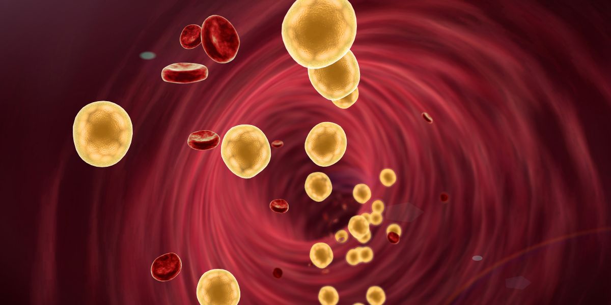 Colesterol alto: Como reduzir e prevenir problemas cardiovasculares