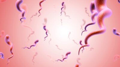 Entenda como ocorre o contágio da sífilis, reconheça os sintomas em suas fases e saiba qual é o tratamento adequado para essa infecção sexualmente transmissível.