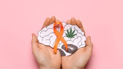 Cannabis medicinal na esclerose múltipla: Alívio de sintomas e novas esperanças