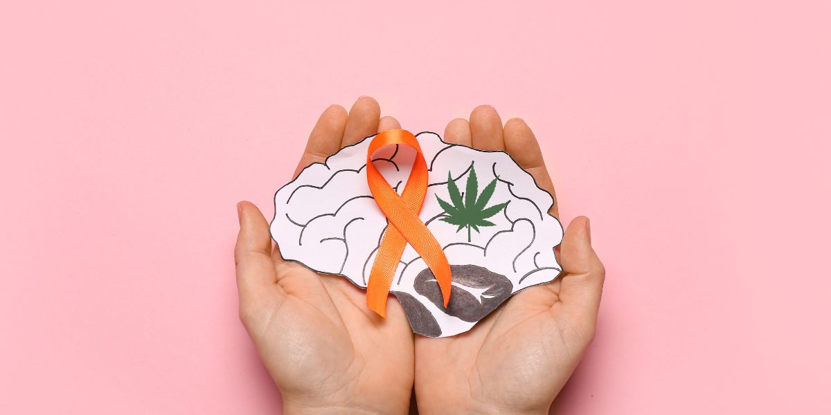 Cannabis medicinal na esclerose múltipla: Alívio de sintomas e novas esperanças