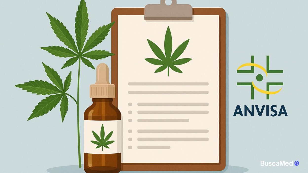 Regulamentação da cannabis medicinal pela Anvisa: Normas e atualizações