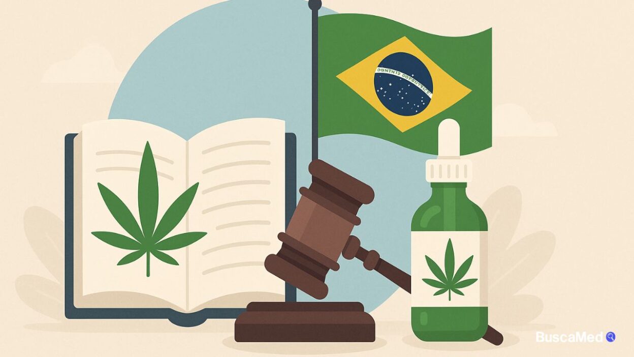 Legislação cannabis medicinal no Brasil: avanços e regulamentações